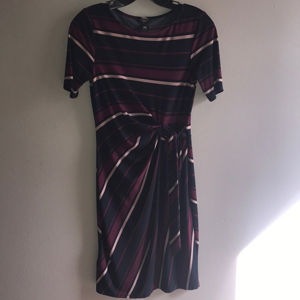 XXSP ann taylor dress